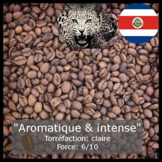 Costa Rica El Jaguar
